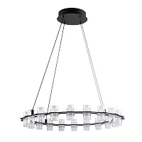 Люстра подвесная LED Monna 1933/06 SP-44 Divinare прозрачная на 1 лампу, основание чёрное в стиле современный кольца Люстра подвесная LED Monna 1933/06 SP-44 Divinare прозрачная на 1 лампу, основание чёрное в стиле современный кольца